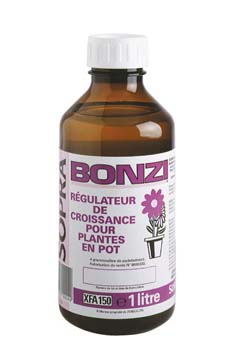 bonzi_1